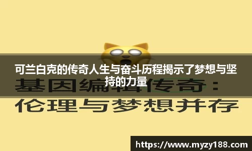ballbet贝博体育